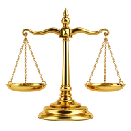 Audiencias y Juicio Oral